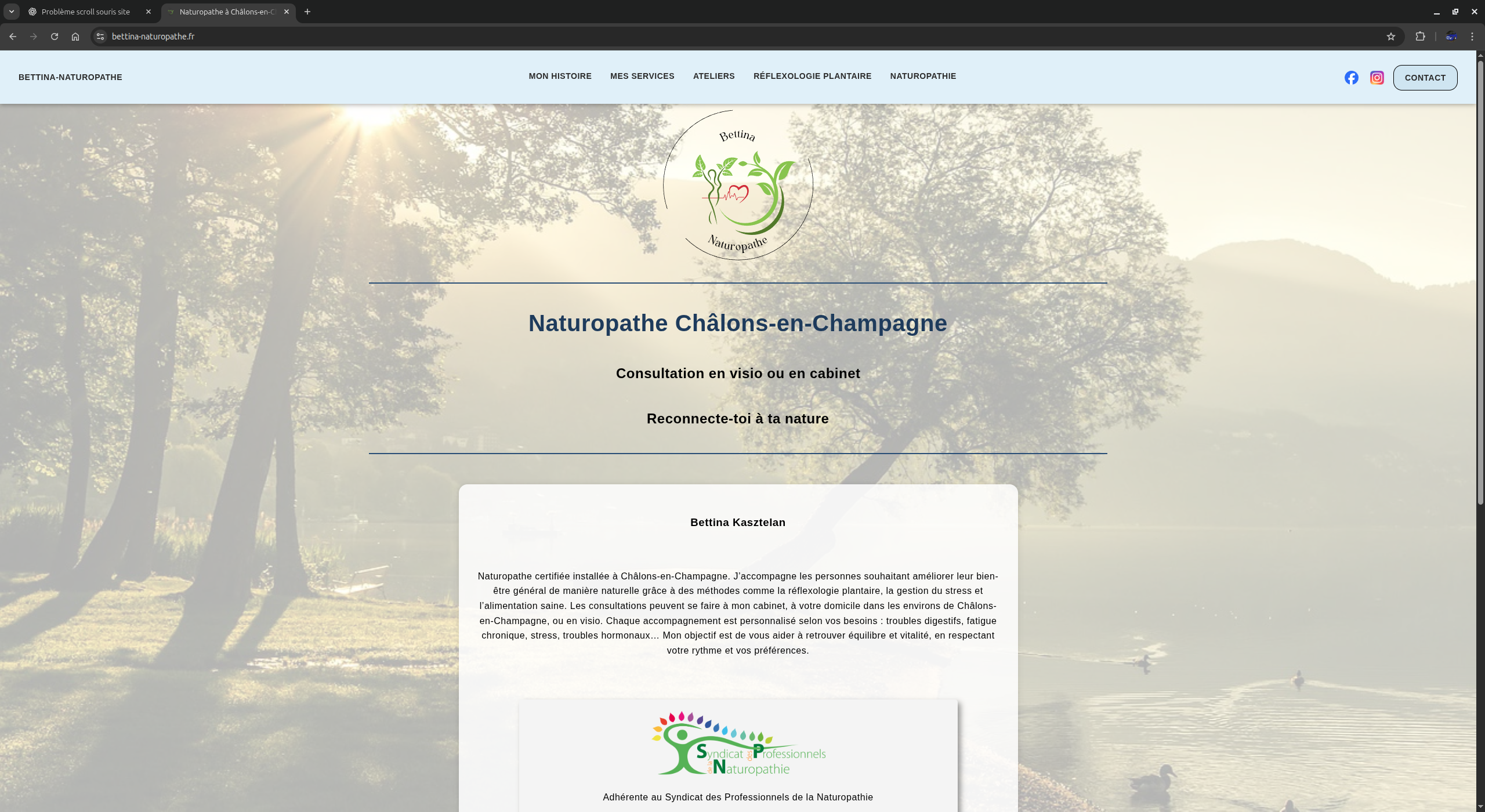 Site Bettina Kasztelan — aperçu